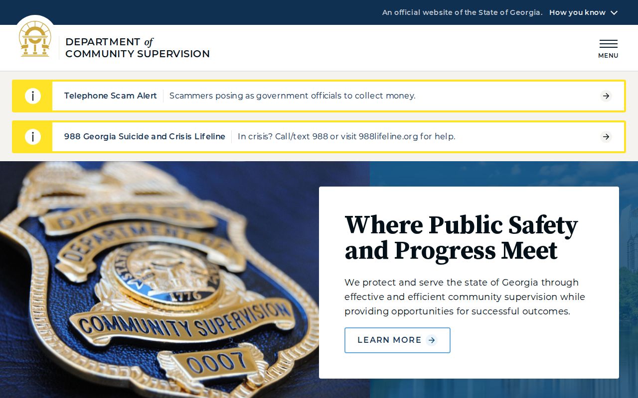 Towns County criminal history Georgia community supervision source